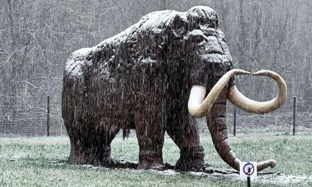 Imagen El Parque permanecerá cerrado el mes de enero