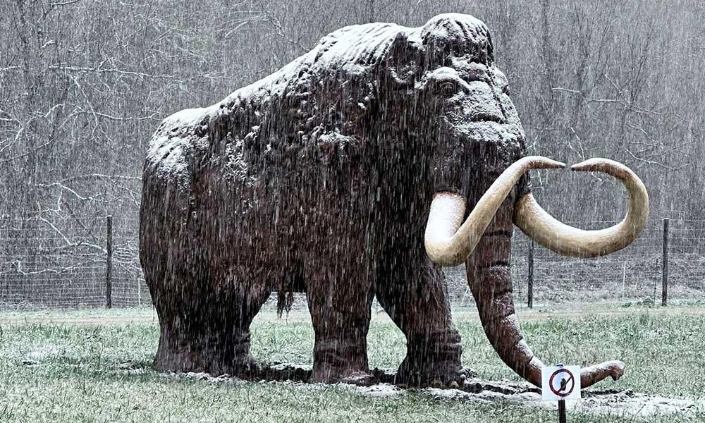 Ir a Imagen El Parque permanecerá cerrado el mes de enero