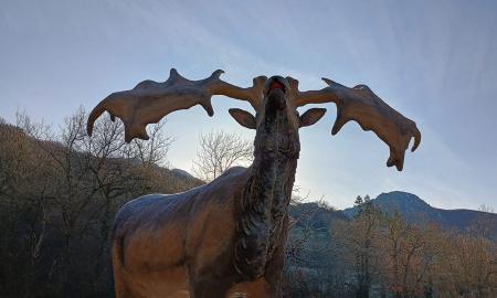 Imagen Nuevo megalocero en el exterior