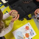 Image Busca en el Museo: el origen de la vida y los dinosaurios