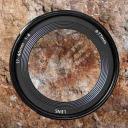 Image Visitas guiadas a la exposición Del exterior al interior. La mirada del artista paleolítico