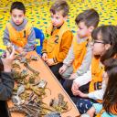 Imagen Taller infantil Excava y descubre