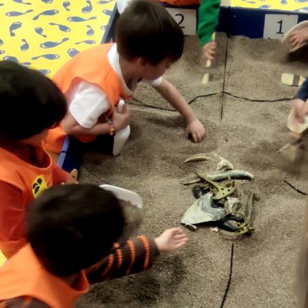 ¡Encuentra los restos del dinosaurio perdido!