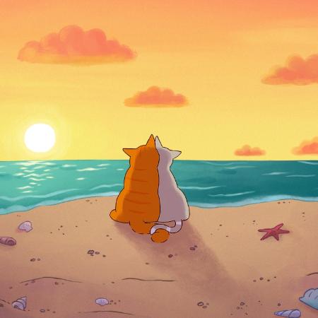 Tommy Tom: en busca del peluche perdido