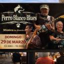 Image Sesión vermú con Perro Blanco Blues