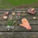 Imagen Colores que nacen de la naturaleza