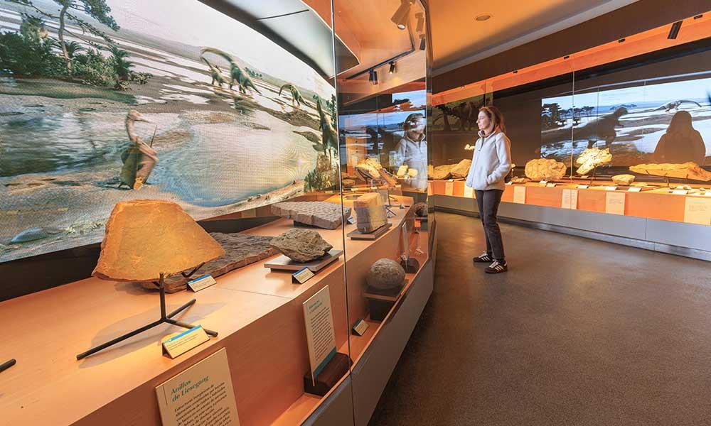 Aller à Image Actividades para todas las edades para celebrar el Día de la Tierra en el Museo del Jurásico de Asturias