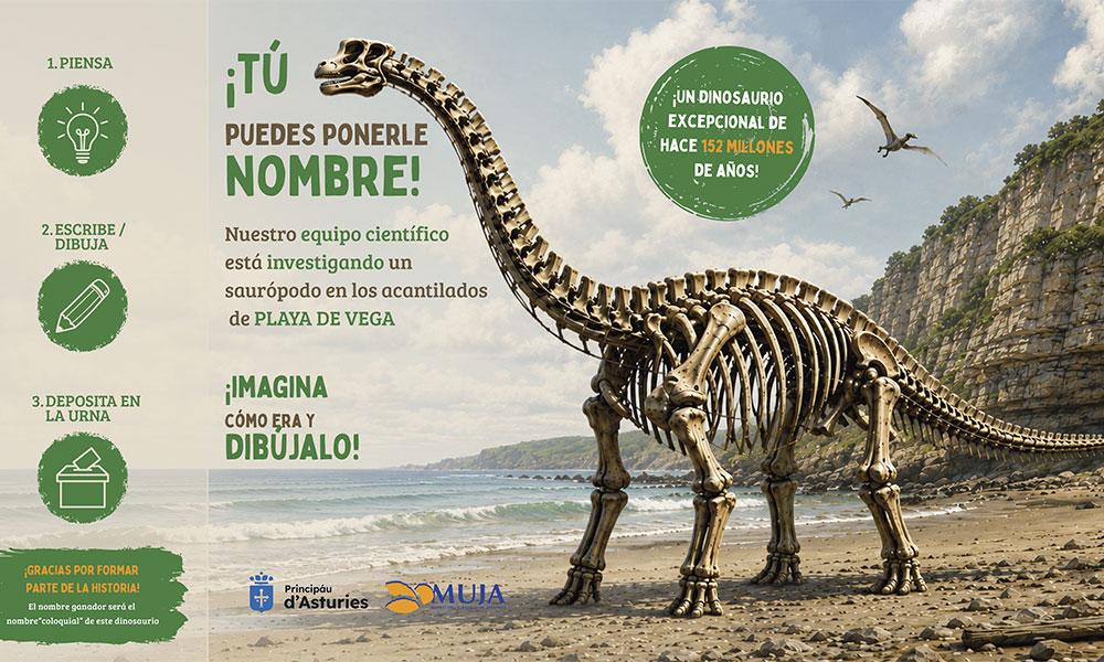 Aller à Image Las personas que visiten el MUJA pondrán nombre al gran dinosaurio hallado en los acantilados de Ribadesella