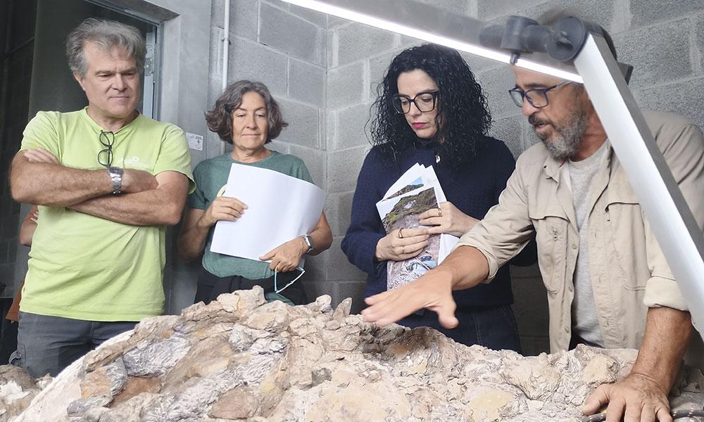 Aller à Image El equipo científico del MUJA avanza en los trabajos de preparación y recuperación de los restos fósiles de un gran dinosaurio saurópodo en los acantilados de Ribadesella