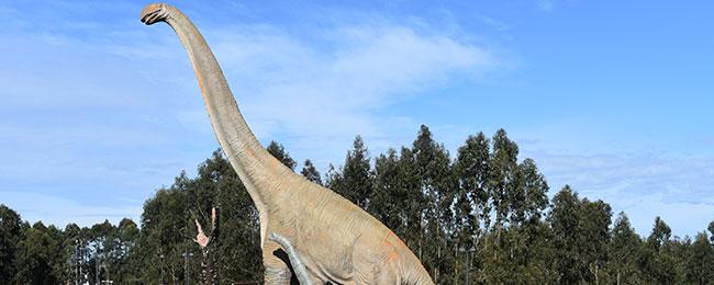 Vai a Immagine El Museo presenta una nueva escena de Brachiosaurus en el Jardín