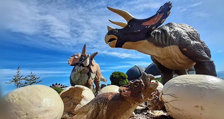 Ir a Imagen Talleres y visitas para todos los públicos, este verano en el MUJA