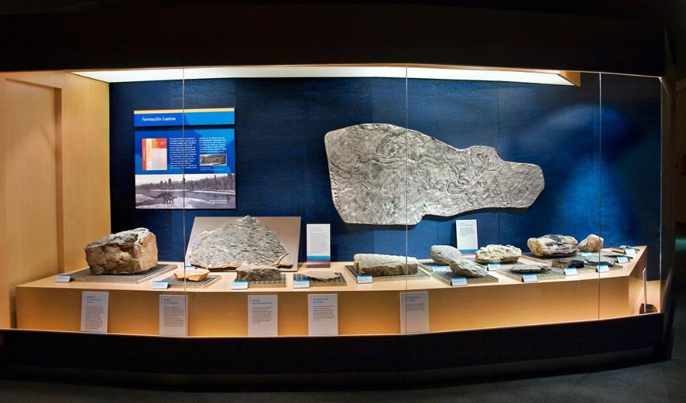 Exposición Permanente (salas)