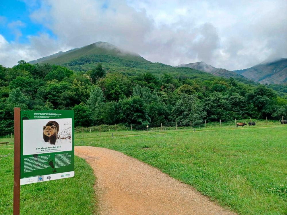 Imagen Itinerario Los rincones del oso