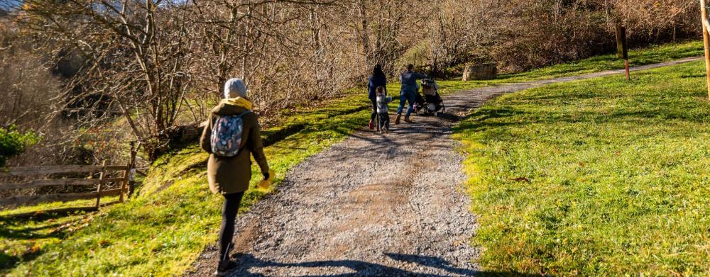 Imagen Visitas individuales