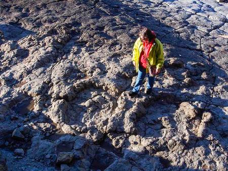 Imagen La Costa de los Dinosaurios