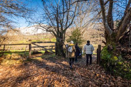 Imagen Acceso directo a la Senda del Oso