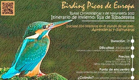 Aller à Image Nueva ventaja para los visitantes al Centro de Arte Rupestre de Tito Bustillo