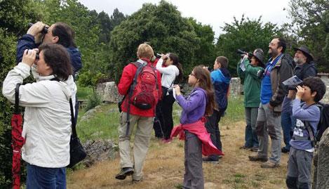Go to Image El Centro se suma al Día del Medio Ambiente con un recorrido ornitológico por el Macizo de Ardines