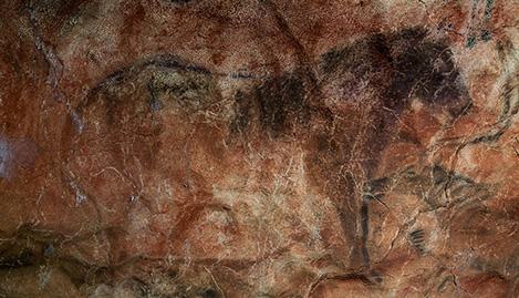 Vai a Immagine La Cueva de Tito Bustillo permanecerá cerrada hasta el 27 de octubre. Las visitas se volverán a realizar a partir del 30 de octubre