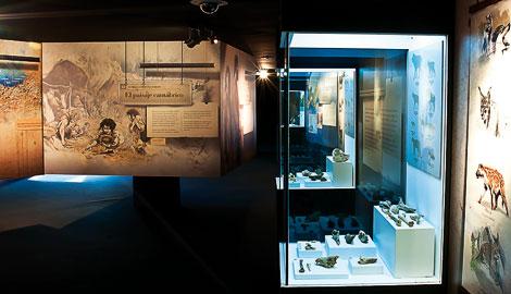 Ir a Imagen Día del Medio Ambiente en el Centro de Arte Rupestre de Tito Bustillo