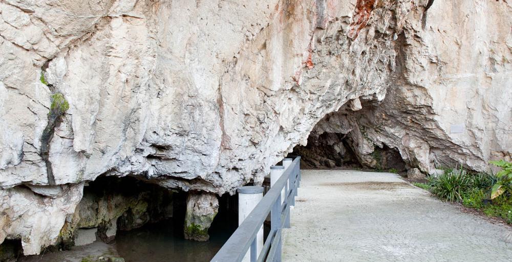 Go to Image La Cueva de Tito Bustillo reabre este fin de semana