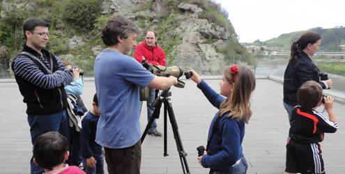 Ir a Imagen Fin de semana dedicado a las aves de la Ría de Ribadesella en el  Centro Tito Bustillo