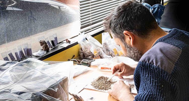 Aller à Image Nuevas excavaciones en el Área de Estancia de la Cueva de Tito Bustillo