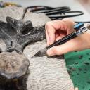 Imagem Taller de fósiles con el equipo científico